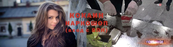 ешки Козельск