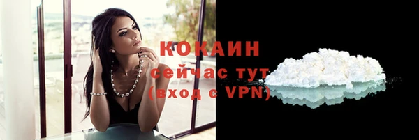 мдпв Козловка