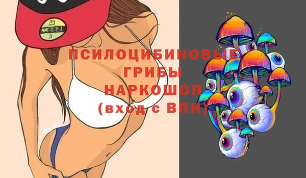 прущие грибы Кинешма
