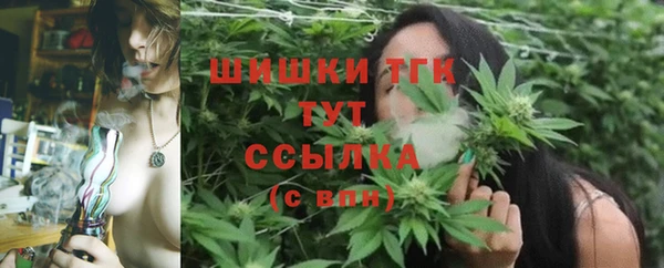 мдпв Козловка