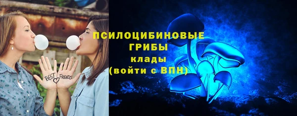 ешки Козельск