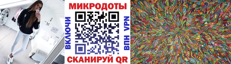 купить наркоту  Снежногорск  Галлюциногенные грибы Psilocybe 