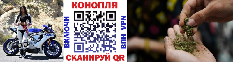 MEGA сайт  Снежногорск  Марихуана Bruce Banner 